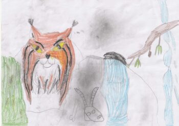 Dessin de Lucas
