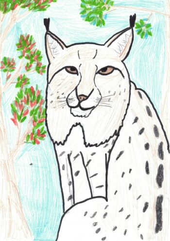 Dessin de Marion