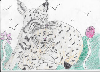 Dessin de Mihaela