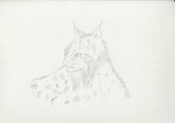 Dessin de Léa