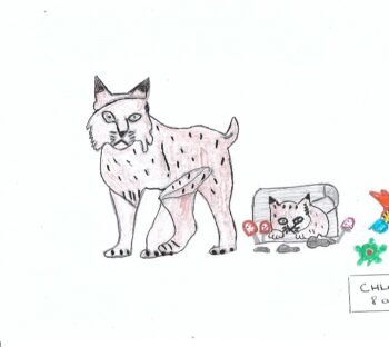 Dessin de Chloé
