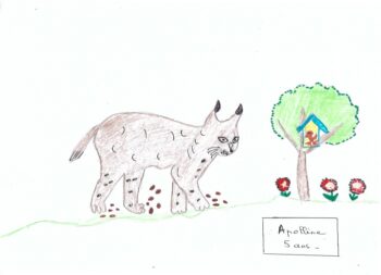 Dessin de Apolline