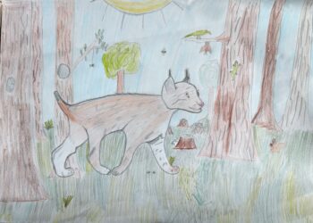 Dessin de Robinson 