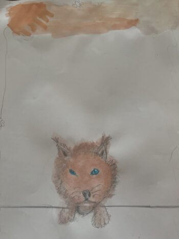 Dessin de Victor
