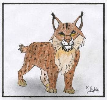 Dessin de Juliette