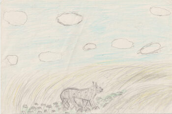 Dessin de Lucas