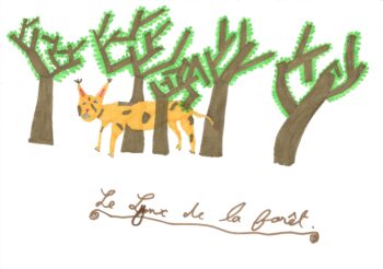 Dessin de Lucien
