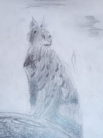 Dessin de Sohan
