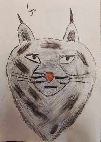 Dessin de Serdjan