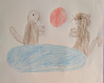Dessin de Daphné