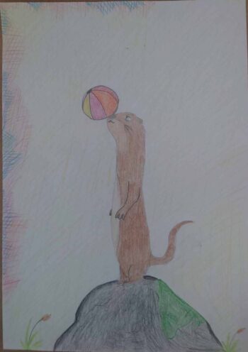Dessin de Alba