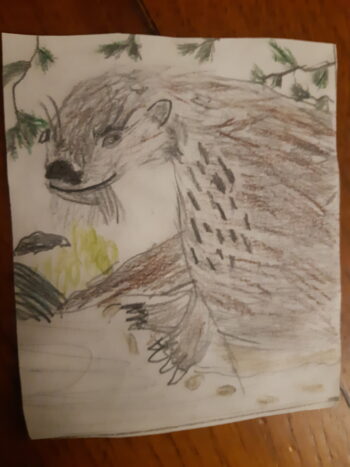 Dessin de Lila