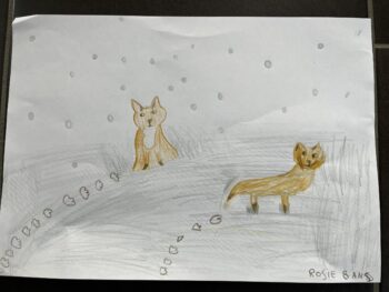 Dessin de Rosie 