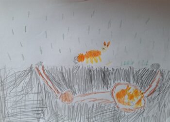 Dessin de Apolonia