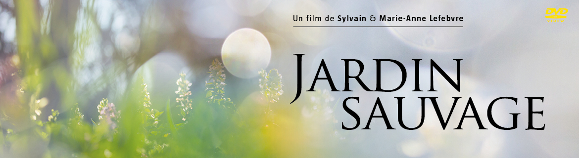 Jardin Sauvage Jardin Sauvage