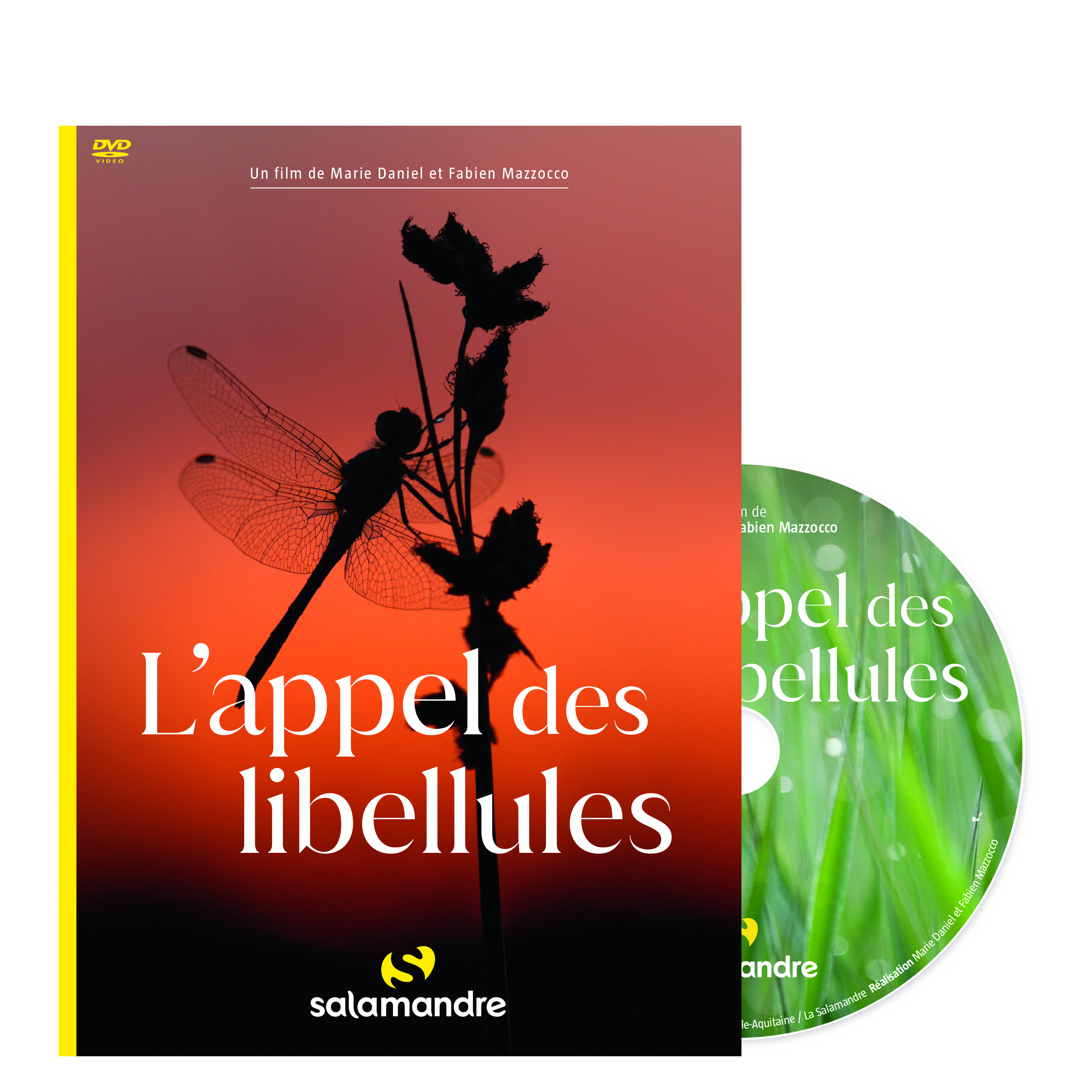 L'appel des libellules