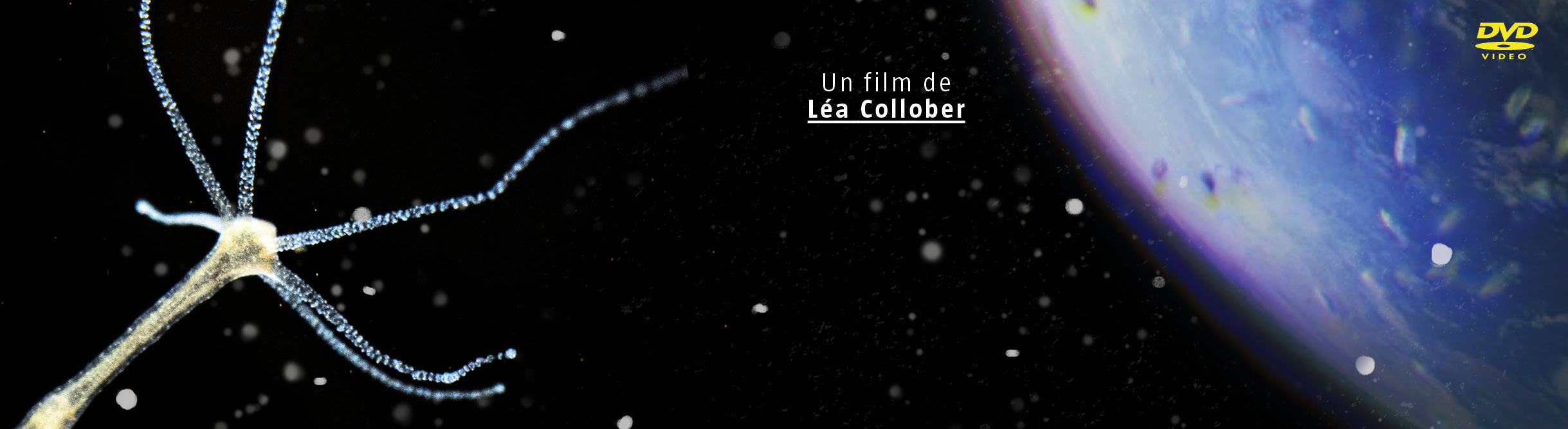 Odyssée mare