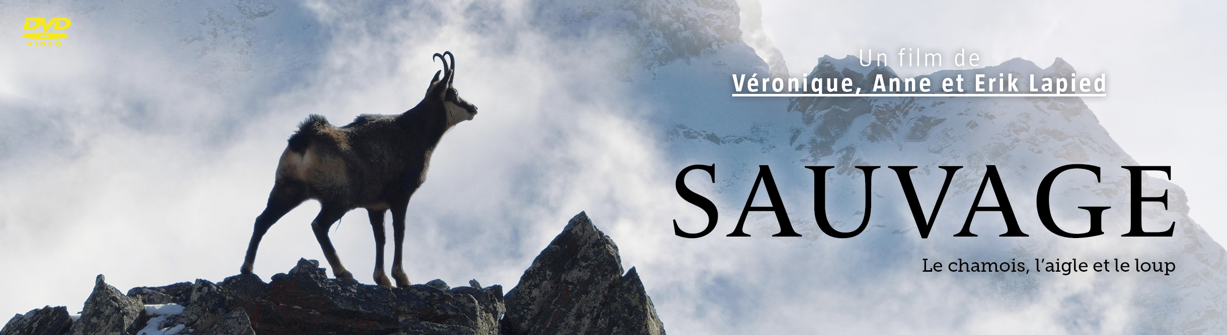 Sauvage, le chamois, l'aigle et le loup