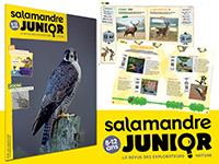 S'abonner à La Salamandre Junior