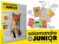 S'abonner à La Salamandre Junior + Explos
