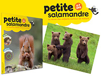 S'abonner à La Petite Salamandre