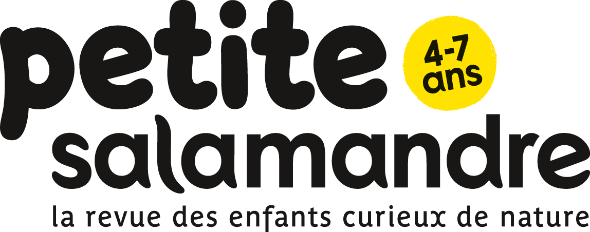 Logo Petite Salamandre
