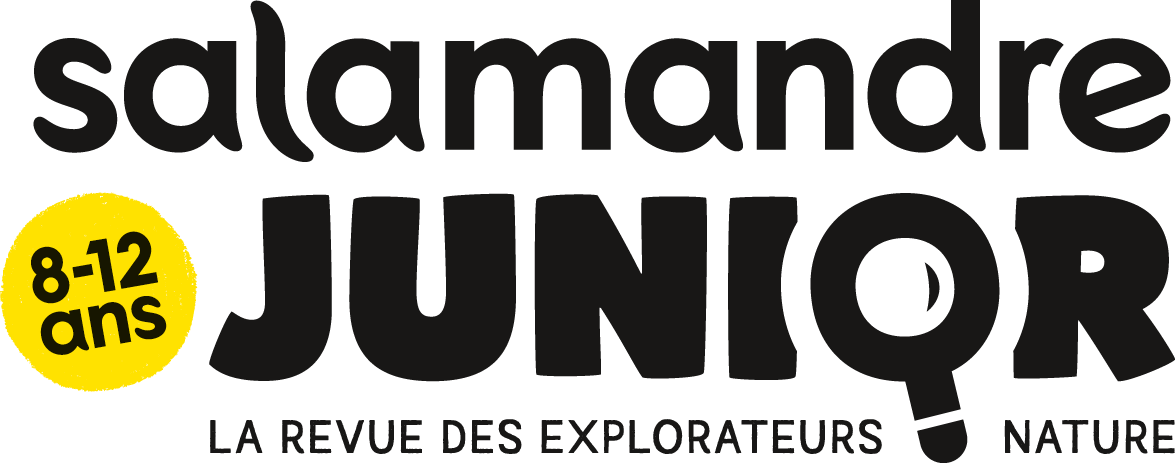 Logo Salamandre Junior