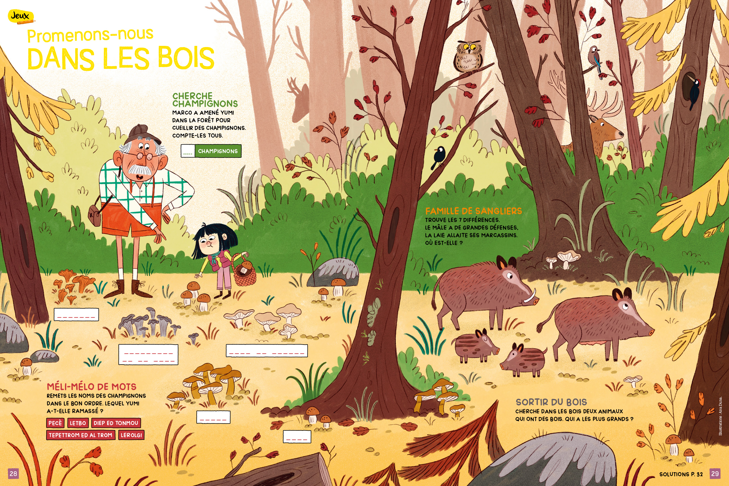 Salamandre Junior La Salamandre